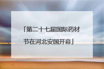 第二十七届国际药材节在河北安国开幕