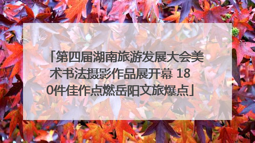 第四届湖南旅游发展大会美术书法摄影作品展开幕 180件佳作点燃岳阳文旅爆点