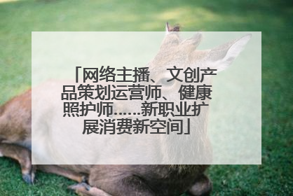 网络主播、文创产品策划运营师、健康照护师……新职业扩展消费新空间