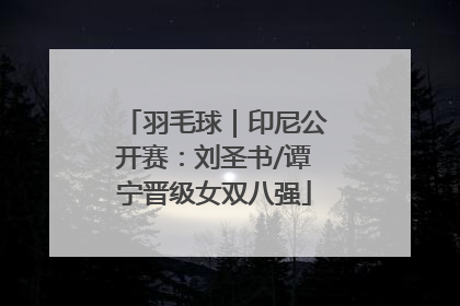 羽毛球｜印尼公开赛：刘圣书/谭宁晋级女双八强