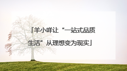 羊小咩让“一站式品质生活”从理想变为现实