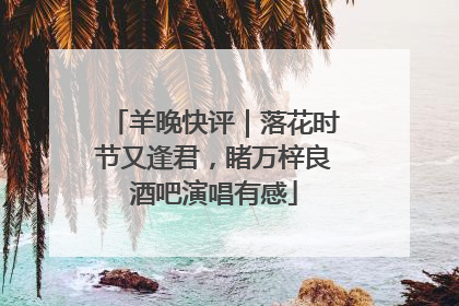 羊晚快评｜落花时节又逢君，睹万梓良酒吧演唱有感
