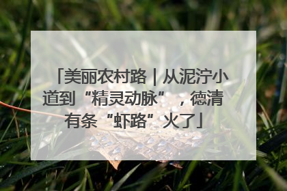 美丽农村路｜从泥泞小道到“精灵动脉”，德清有条“虾路”火了