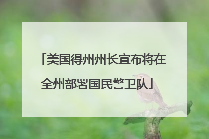 美国得州州长宣布将在全州部署国民警卫队