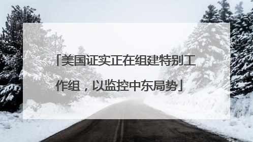 美国证实正在组建特别工作组，以监控中东局势