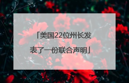 美国22位州长发表了一份联合声明