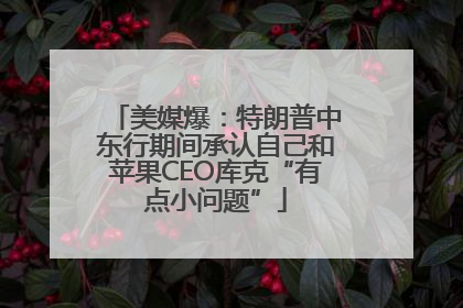 美媒爆：特朗普中东行期间承认自己和苹果CEO库克“有点小问题”