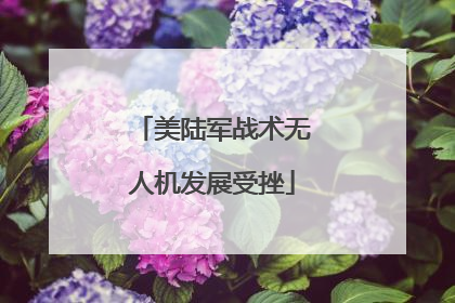 美陆军战术无人机发展受挫