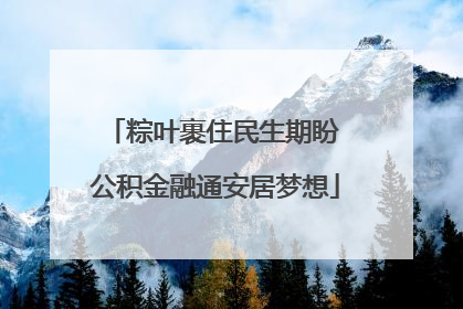 粽叶裹住民生期盼 公积金融通安居梦想