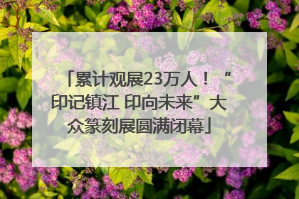 累计观展23万人！“印记镇江 印向未来”大众篆刻展圆满闭幕
