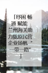纾困 畅通 赋能 兰州海关助力陇原民营企业扬帆“一带一路”