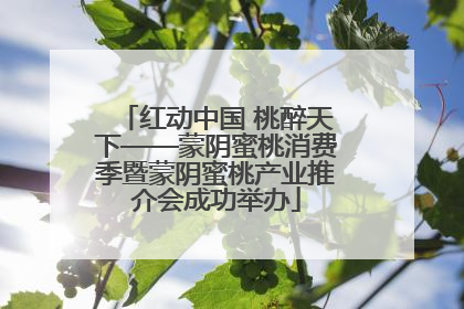 红动中国 桃醉天下——蒙阴蜜桃消费季暨蒙阴蜜桃产业推介会成功举办