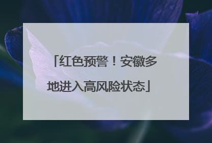 红色预警！安徽多地进入高风险状态