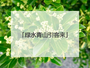 绿水青山引客来