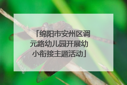 绵阳市安州区调元路幼儿园开展幼小衔接主题活动