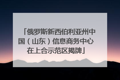俄罗斯新西伯利亚州中国（山东）信息商务中心在上合示范区揭牌
