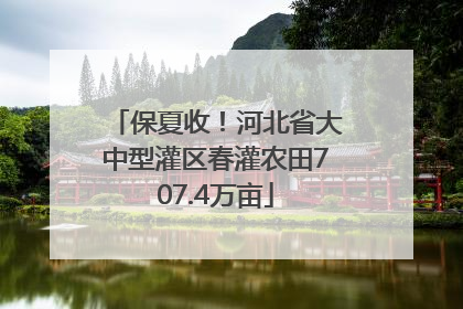 保夏收！河北省大中型灌区春灌农田707.4万亩