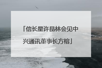 信长星许昆林会见中兴通讯董事长方榕