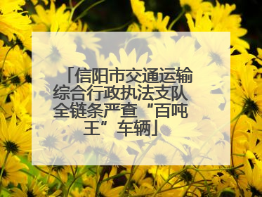 信阳市交通运输综合行政执法支队全链条严查“百吨王”车辆