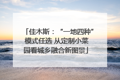 佳木斯：“一地四种” 模式任选 从定制小菜园看城乡融合新图景