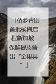 侨乡青田首批杨梅启程新加坡 保鲜提质售出“金果果”