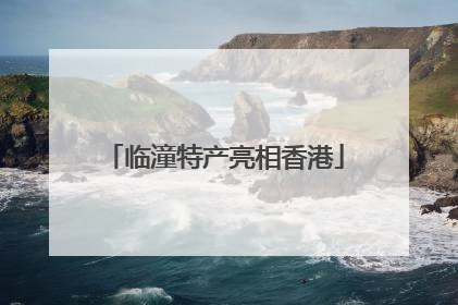 临潼特产亮相香港