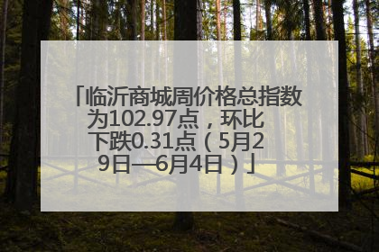 临沂商城周价格总指数为102.97点，环比下跌0.31点（5月29日—6月4日）