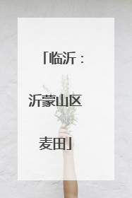 临沂：沂蒙山区麦田