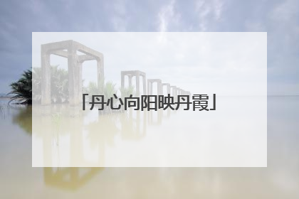 丹心向阳映丹霞