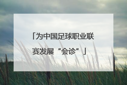 为中国足球职业联赛发展“会诊”