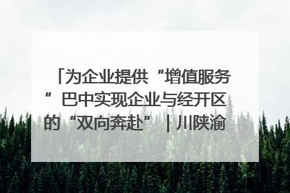 为企业提供“增值服务”巴中实现企业与经开区的“双向奔赴”｜川陕渝网络名人巴中行