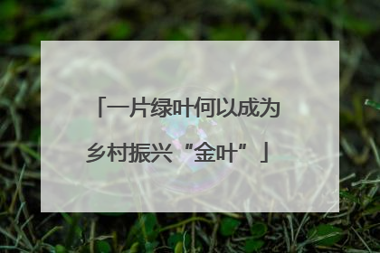 一片绿叶何以成为乡村振兴“金叶”