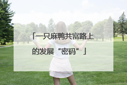 一只麻鸭共富路上的发展“密码”