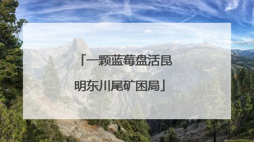 一颗蓝莓盘活昆明东川尾矿困局