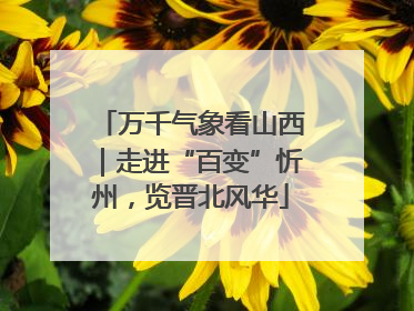 万千气象看山西｜走进“百变”忻州，览晋北风华