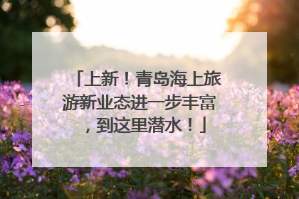 上新！青岛海上旅游新业态进一步丰富，到这里潜水！
