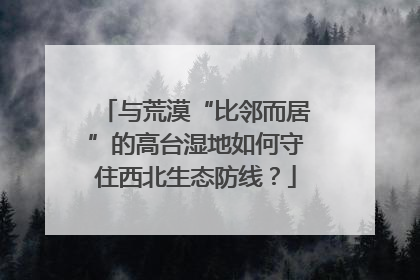 与荒漠“比邻而居”的高台湿地如何守住西北生态防线？