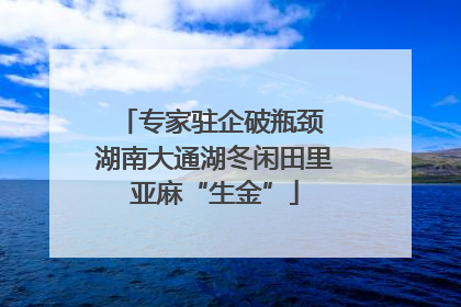 专家驻企破瓶颈 湖南大通湖冬闲田里亚麻“生金”