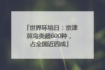世界环境日：京津冀鸟类超600种，占全国近四成