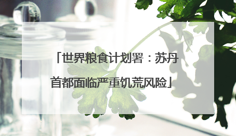世界粮食计划署：苏丹首都面临严重饥荒风险