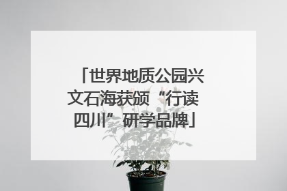 世界地质公园兴文石海获颁“行读四川”研学品牌