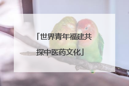 世界青年福建共探中医药文化