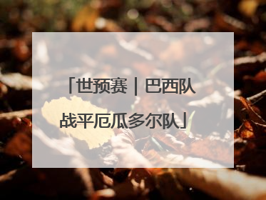 世预赛｜巴西队战平厄瓜多尔队