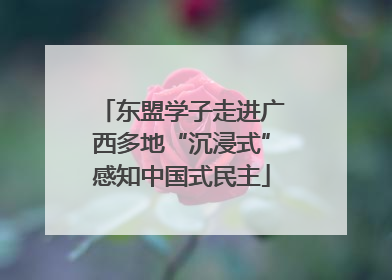 东盟学子走进广西多地“沉浸式”感知中国式民主
