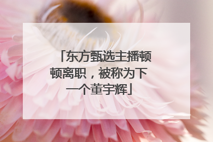 东方甄选主播顿顿离职，被称为下一个董宇辉