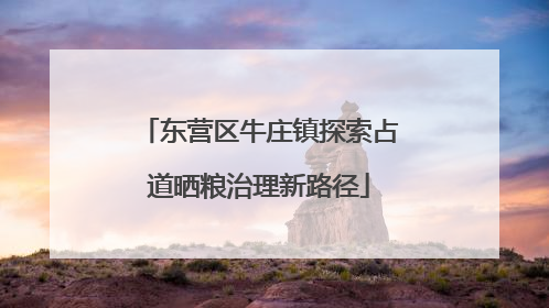 东营区牛庄镇探索占道晒粮治理新路径