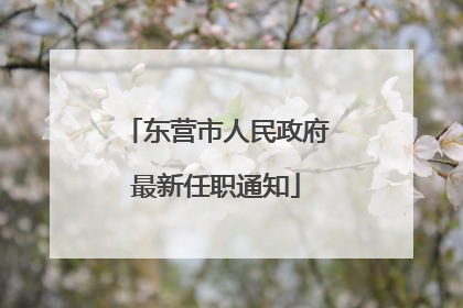 东营市人民政府最新任职通知