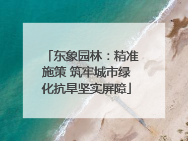 东象园林：精准施策 筑牢城市绿化抗旱坚实屏障