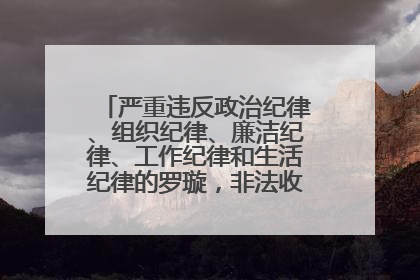 严重违反政治纪律、组织纪律、廉洁纪律、工作纪律和生活纪律的罗璇，非法收受他人巨额财物