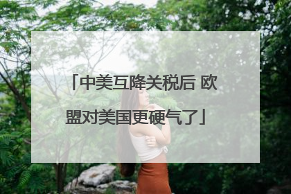 中美互降关税后 欧盟对美国更硬气了